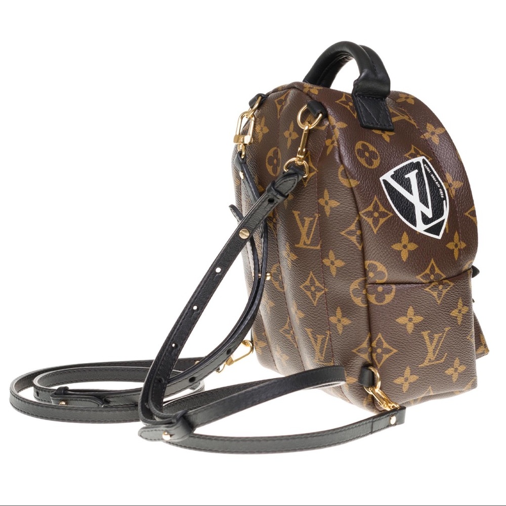 Louis Vuitton Palm Springs Mini ( Adjustable Straps Only )